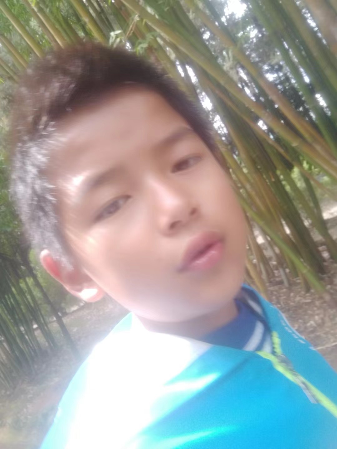 杨凯